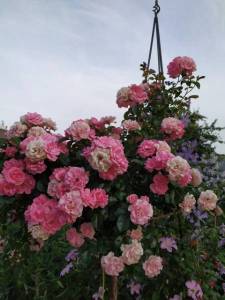 IMG-20220708-WA0002.jpg
