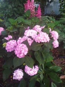 IMG-20220724-WA0005.jpg