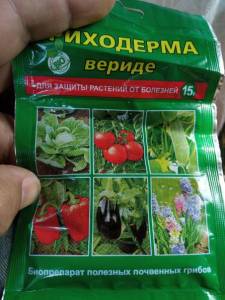 IMG_20220723_105103.jpg