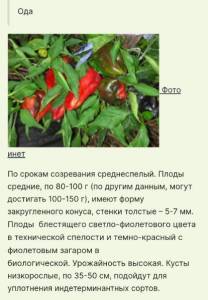 Screenshot_20220207-192154_Chrome.jpg