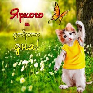 smeshnye-kartinki-dobryj-den-28.thumb.jpg.8ac0be084056b3fc55bf5164eb2aa9c2.jpg