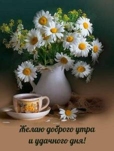 textopics_ru_26350.thumb.jpg.b59d0ed398bbfaf78010f50eaa049fae.jpg