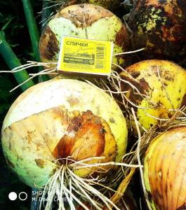 2022-08-07 19-06-51.jpg