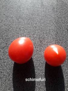 20220818_080747.jpg