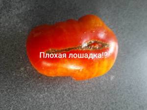 20220819_182846.jpg