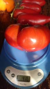 DSC_4133.thumb.JPG.5387fa708aaa33421963bcc742ba28bc.JPG