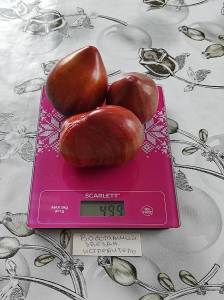 IMG-20220805-WA0002.thumb.jpg.60c3aba14fa9fed219216a9d8a6c9f9e.jpg