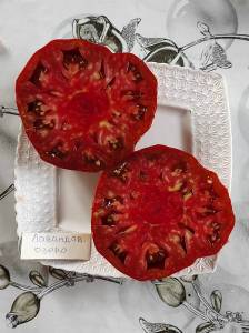 IMG-20220805-WA0022.thumb.jpg.23c5cc4c8472c881d4cbd16a276c4ec7.jpg