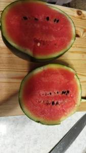IMG-20220812-WA0044.thumb.jpeg.a0dfb69716ebb2402be36fad13a61bcf.jpeg