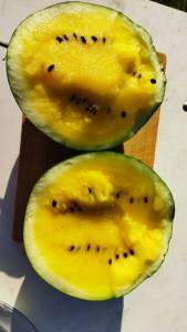 IMG-20220813-WA0137.thumb.jpeg.9b083978f72ba4406b0fdb561c7fcc42.jpeg