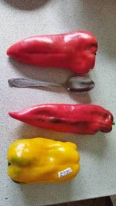IMG-20220817-WA0087.thumb.jpeg.a54fff790e95be1f2713960fd226790d.jpeg