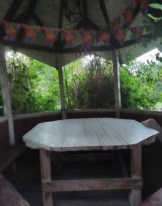 IMG_20220808_203219.jpg