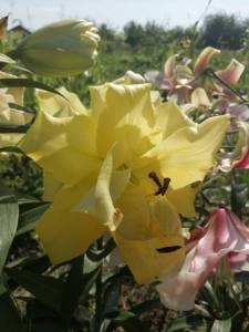 IMG_20220809_094059.jpg