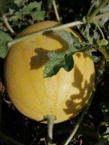 IMG_20220809_134904.jpg