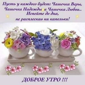 IMG_20220814_100255_663.thumb.jpg.e80a1191c661ec4ba99d1ba8e2d88f59.jpg