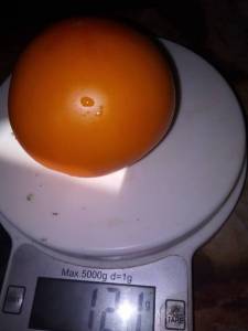 IMG_20220815_141342.thumb.jpg.48b039662213be35fd904bb82dfabb98.jpg