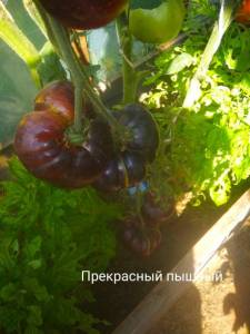 IMG_20220818_160219.jpg