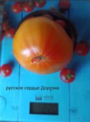 IMG_20220817_110825.jpg