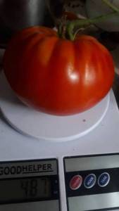 20220906_065038.jpg
