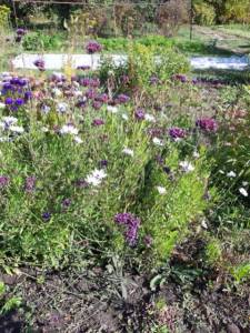 WhatsApp Image 2022-09-16 at 15.15.23.jpeg