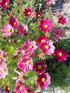 WhatsApp Image 2022-09-16 at 15.14.25.jpeg