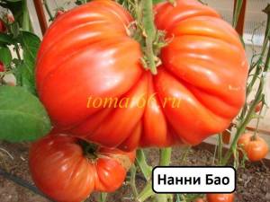 99803971_(13).thumb.JPG.0c967a2469a6becc7194223a760d806a.JPG
