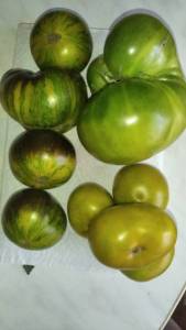 IMG_20220826_143601.jpg
