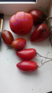 IMG_20220905_083524.jpg