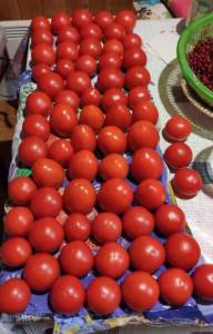 IMG_20220915_214539.jpg