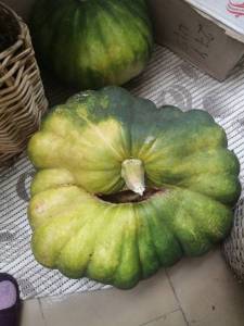 IMG_20220918_091440.jpg