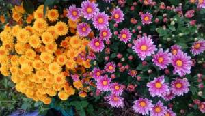 IMG_20220930_185805.jpg