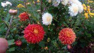 IMG_20220930_185943.jpg