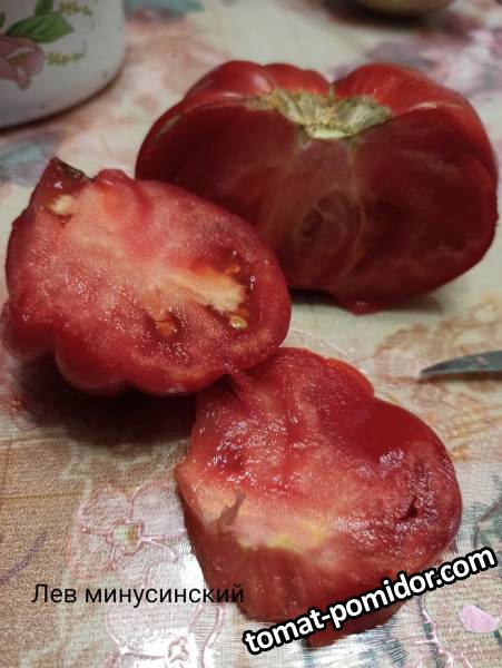 Лев минусинский - Л — сорта томатов - tomat-pomidor.com - отзывы на форуме
