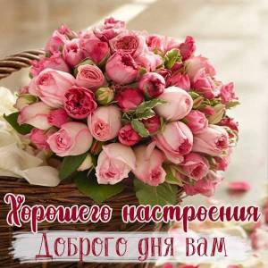 otkrytka-horoshego-nastroeniya-dobrogo-dnya-vam.jpg