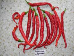 Joe`s Long Cayenne (Кайенский длинный Джо) 3.jpg