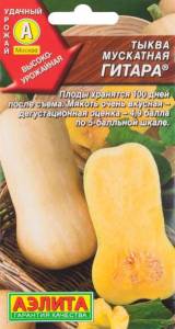 tykva_gitara_muskat_AE.thumb.jpg.85f6afc917ac1e4d1e913d038a85f4cc.jpg