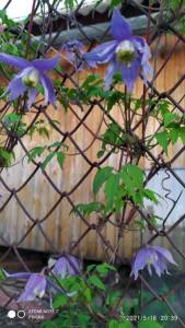 i - 2022-10-25T173424.917.jpg