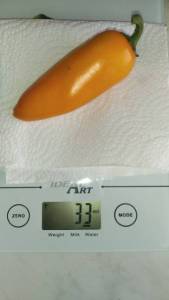 IMG_20220826_144743.thumb.jpg.88dce46d578e5e7c9fe62fbf4fee38c6.jpg