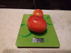 IMG_20221001_033504.thumb.jpg.88148ed05f692c86cb66a3c6a8edcbc7.jpg