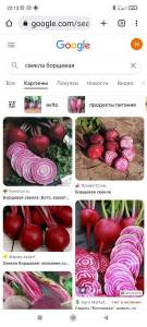 Screenshot_2022-10-24-22-13-47-952_com.android.chrome.jpg