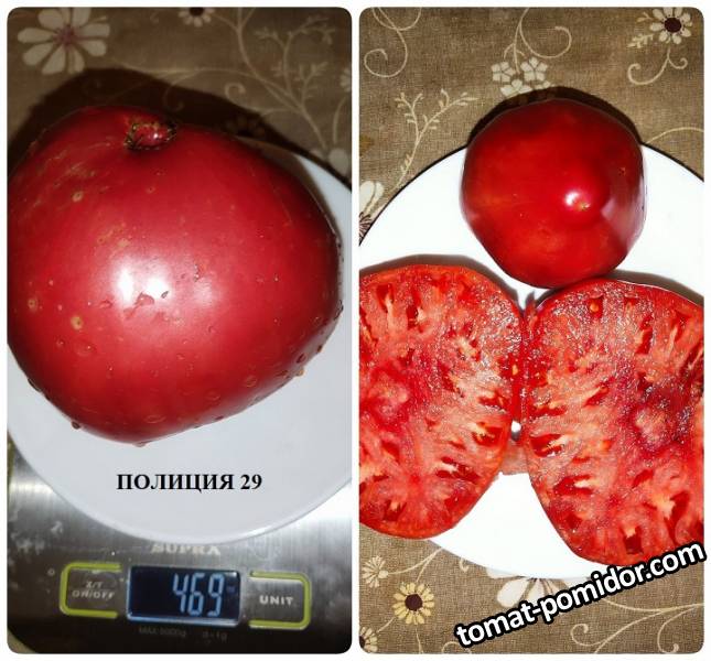 Полиция 29.jpg