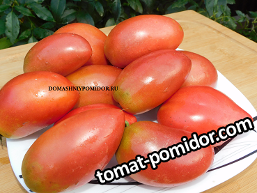 гном альмандин.png