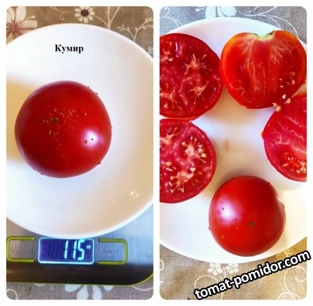 Кумир 16.08.22.jpg