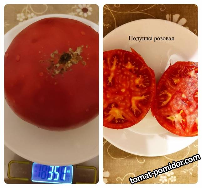 Подушка розовая 12.08.22.jpg
