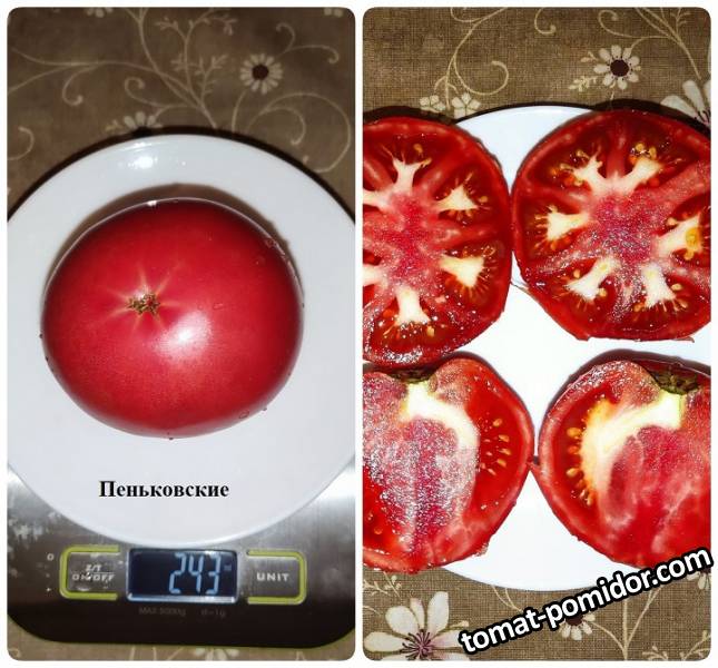 Пеньковские.jpg