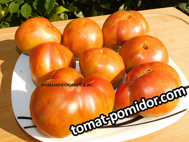 ярсон 1..png