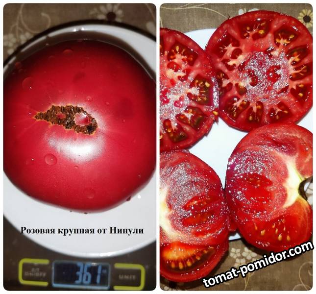 Розовая крупная от Нинули.jpg
