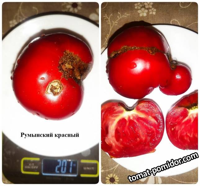 Румынский красный.jpg