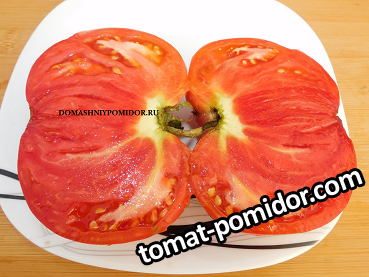 минусинец.png