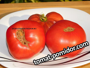 гном уэверли.png